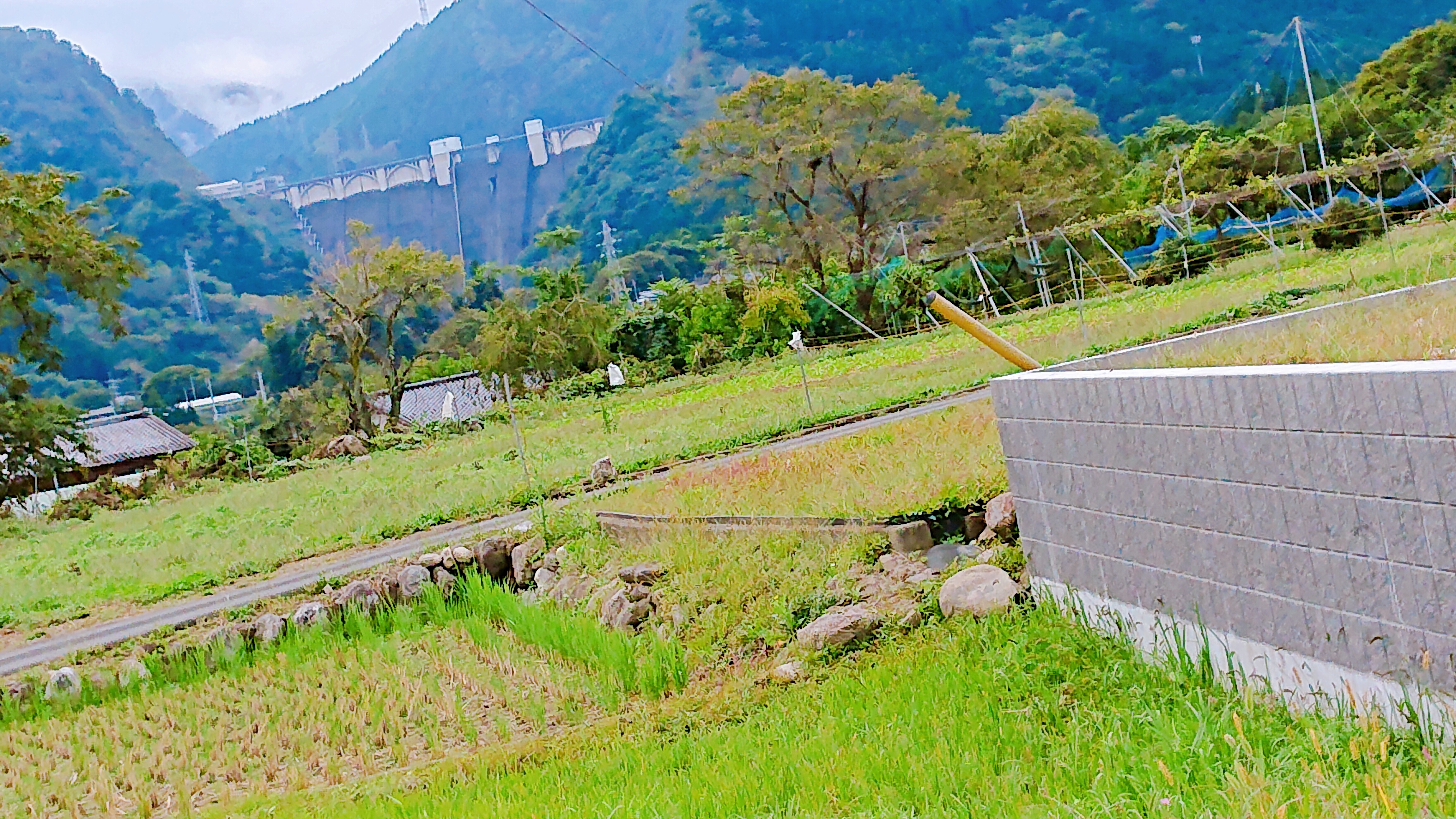 ちちぶ花見の里から眺める浦山ダム