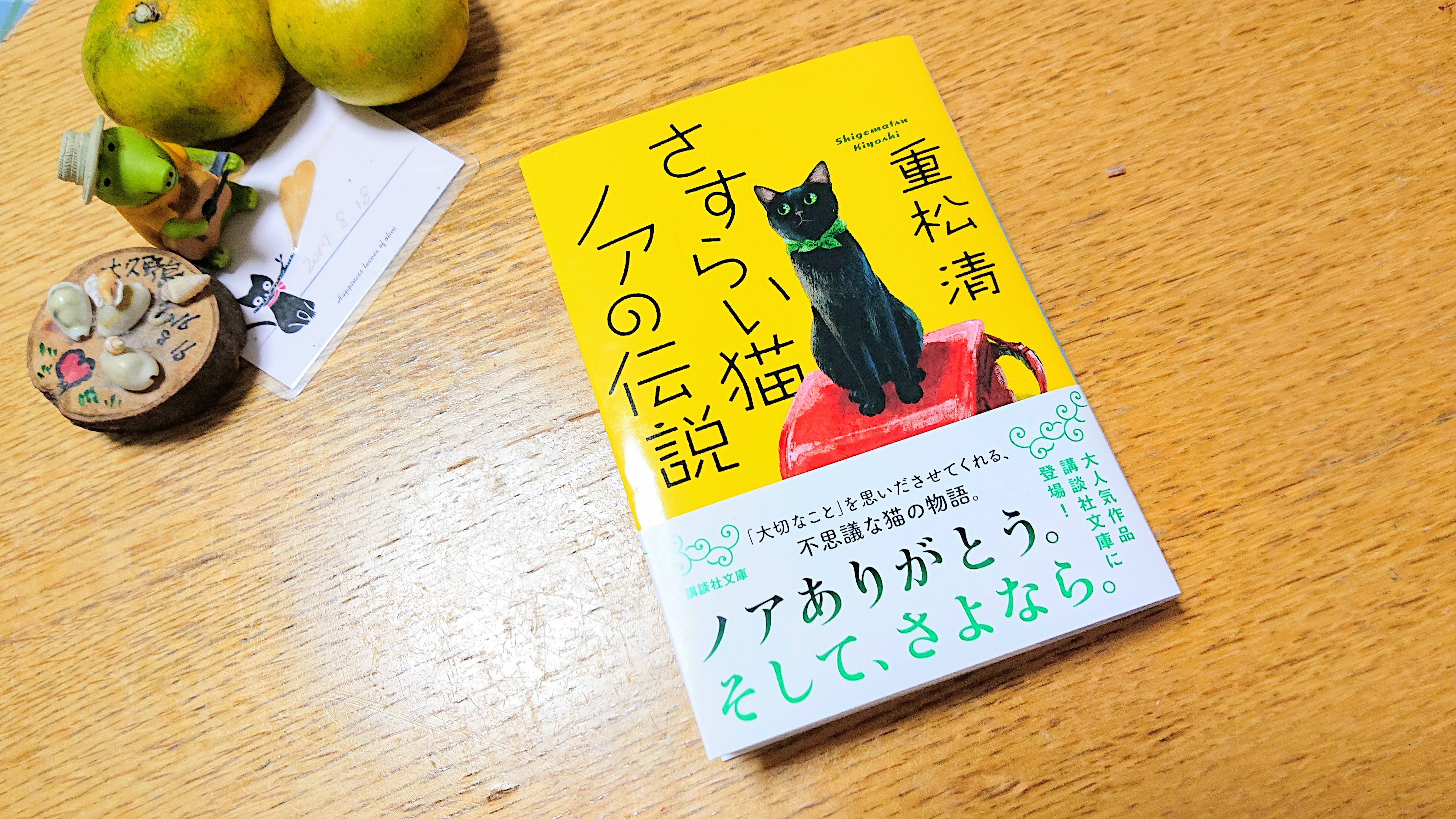 さすらい猫ノアの伝説 重松清 読み終えました 東京都板橋区のギター ウクレレ 歌の教室ブログ Ordenesギター ウクレレ 歌の教室