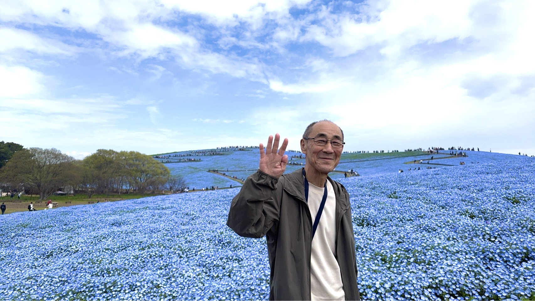 画像の説明 画像の説明