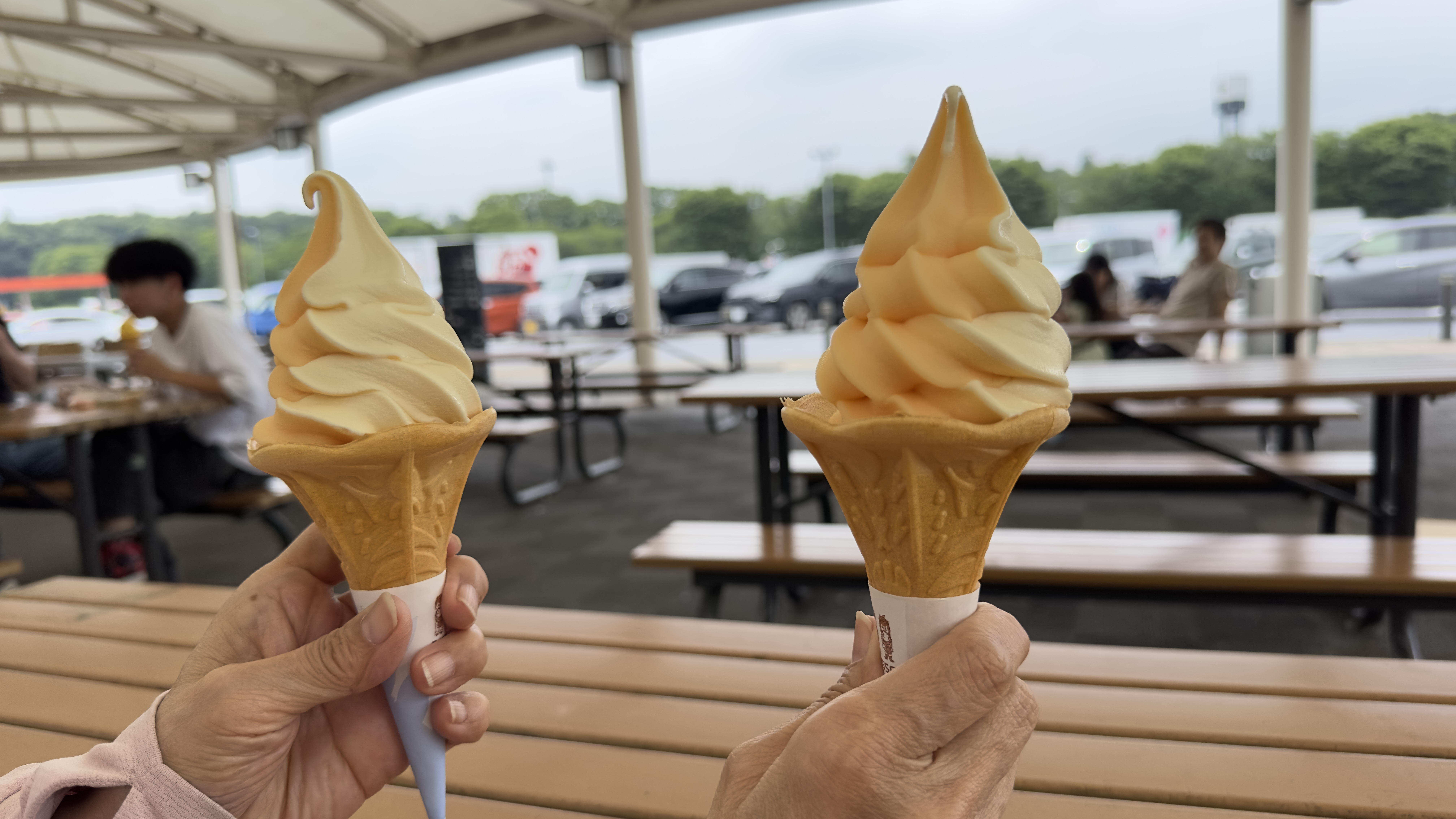 友部SA(上) 友部SA(上)