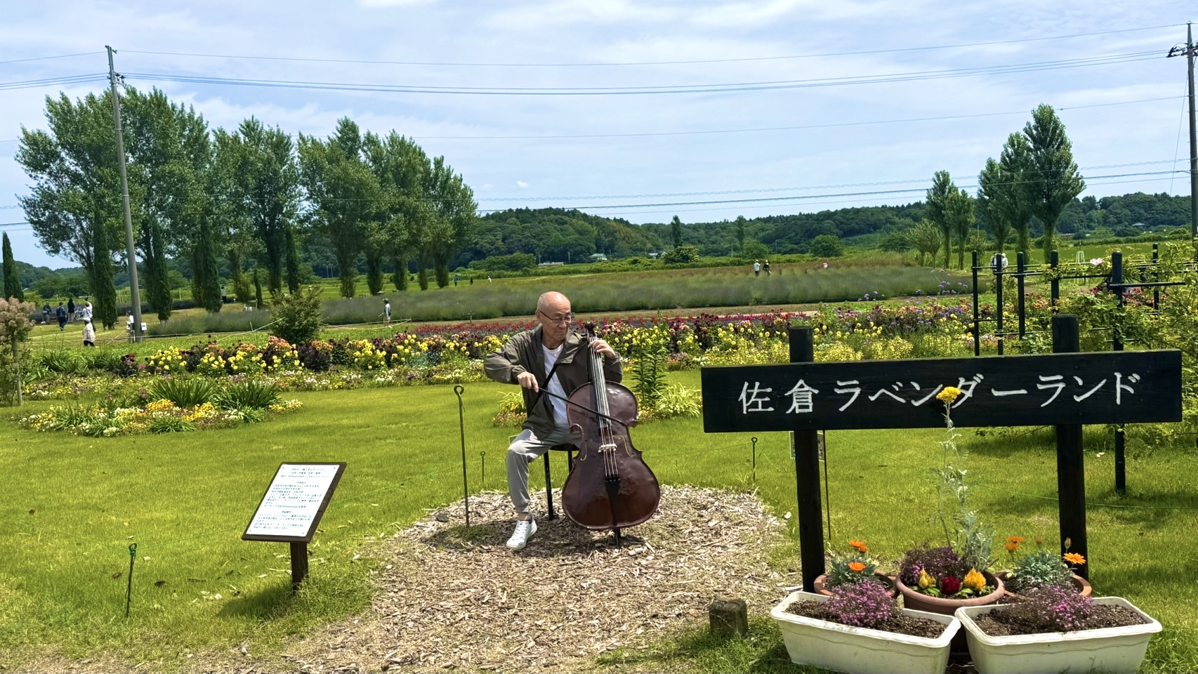 画像の説明