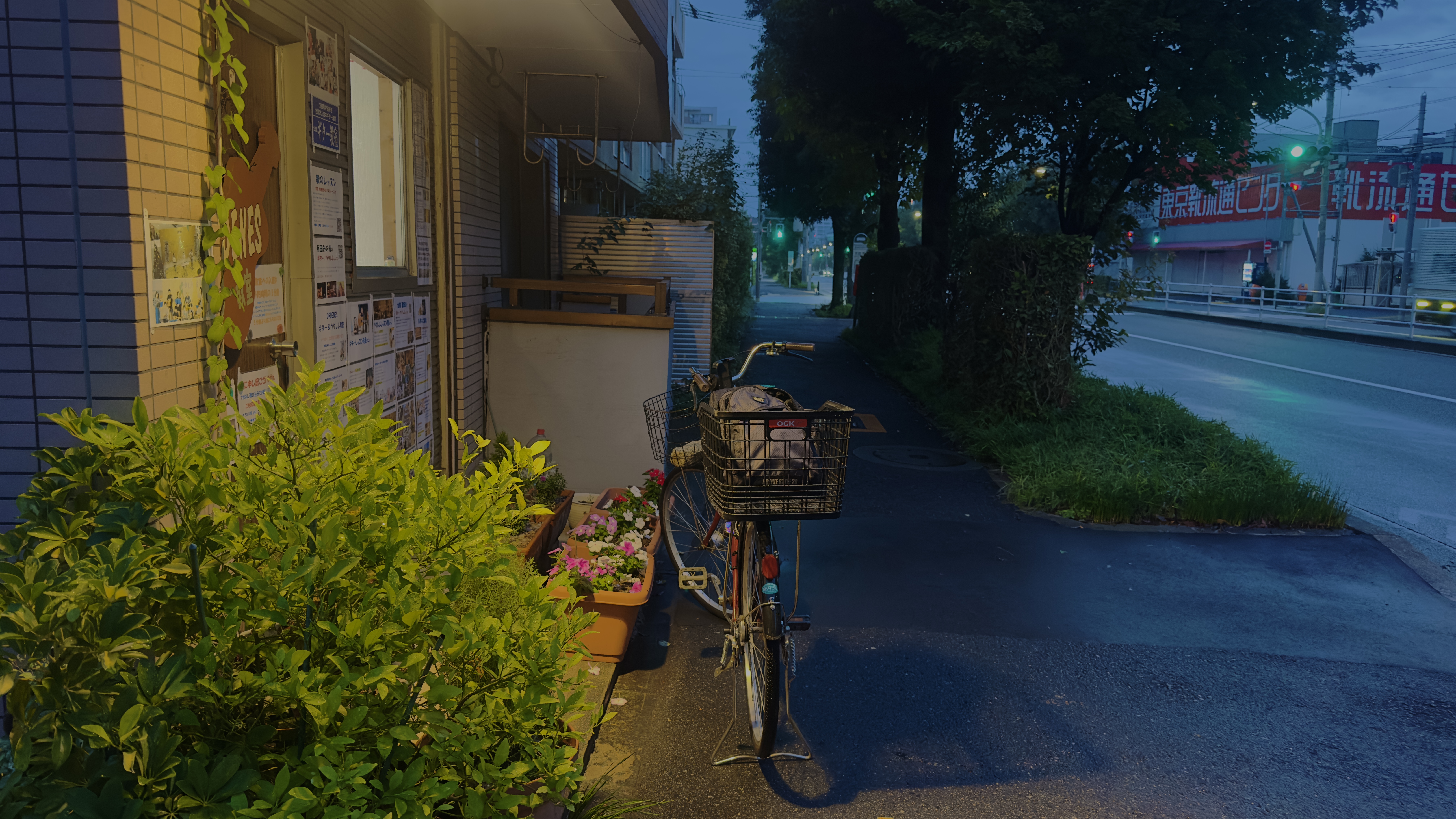 画像の説明