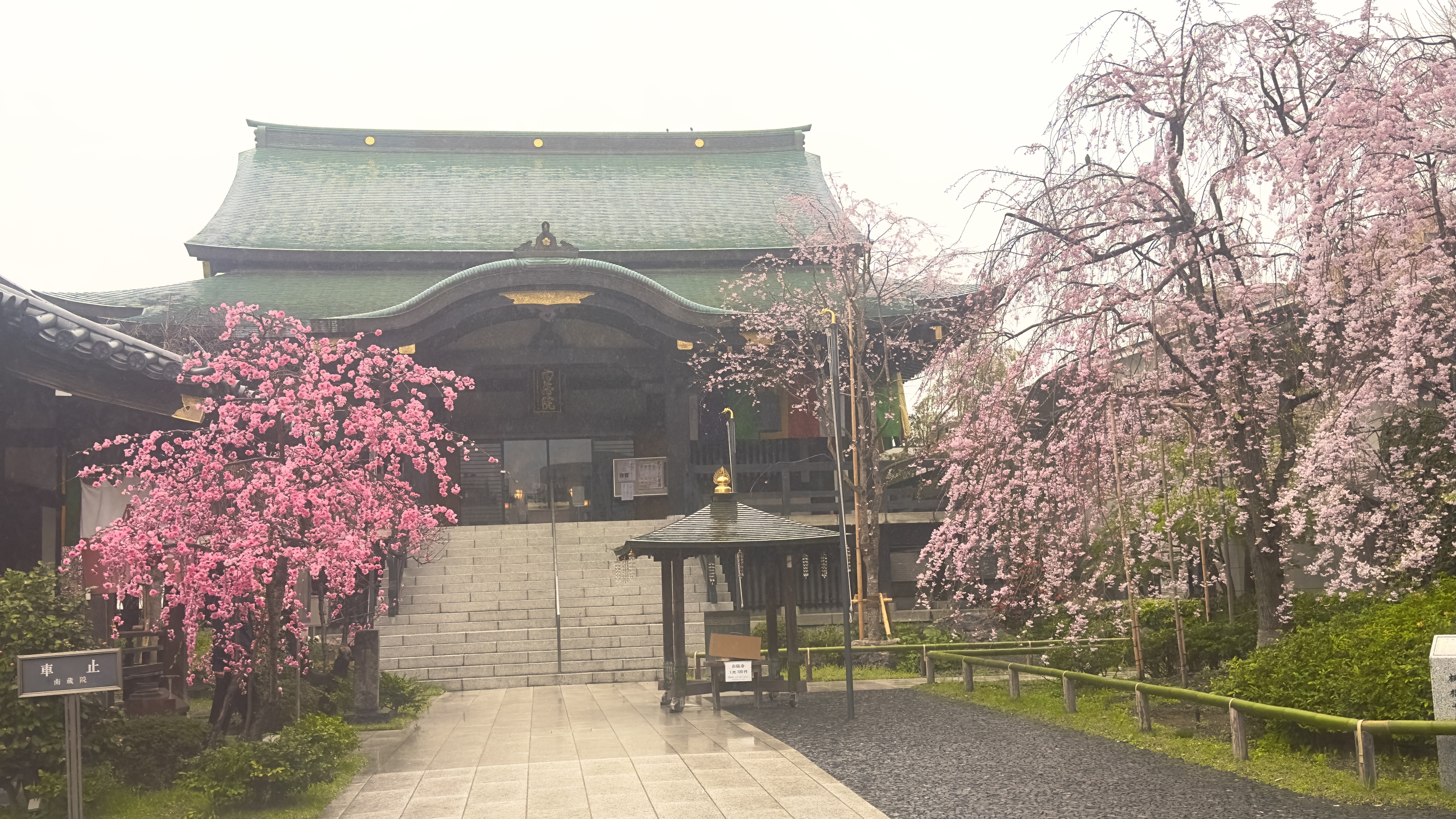 画像の説明