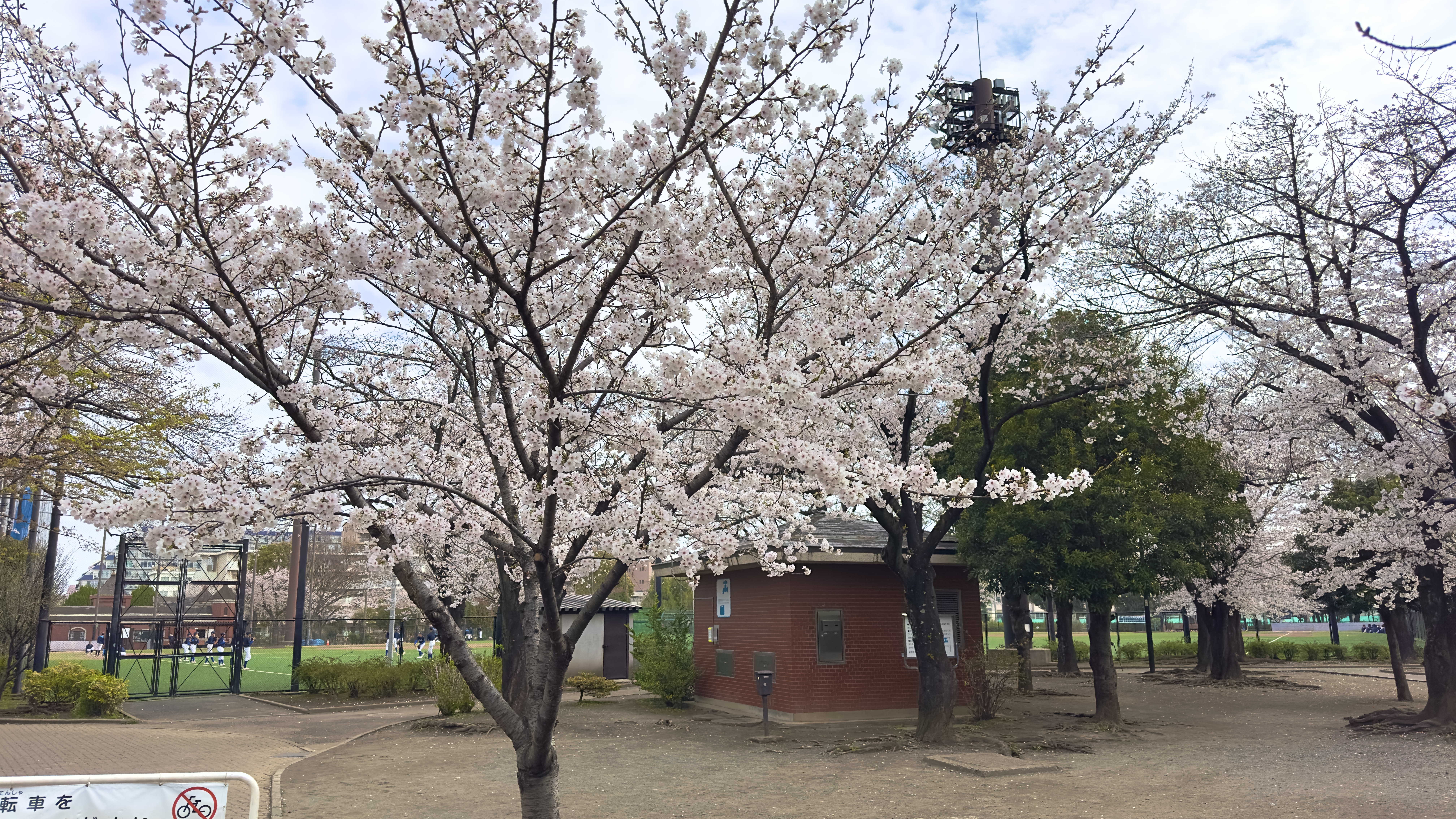 城北公園