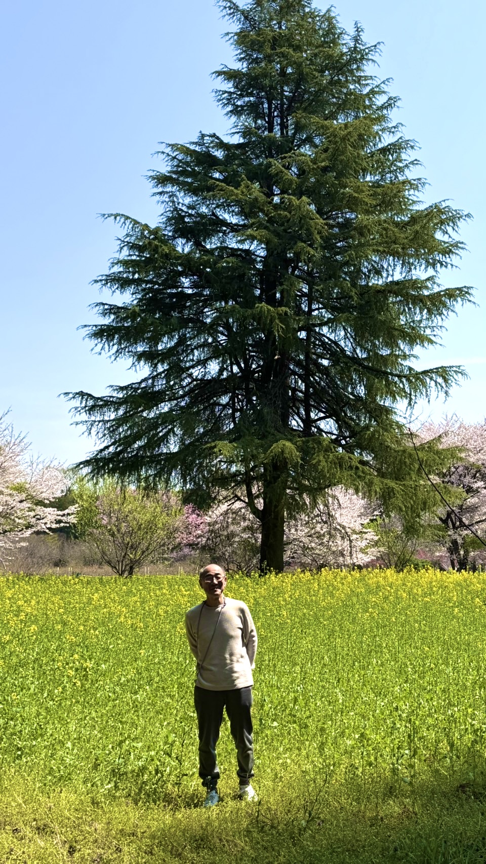 画像の説明