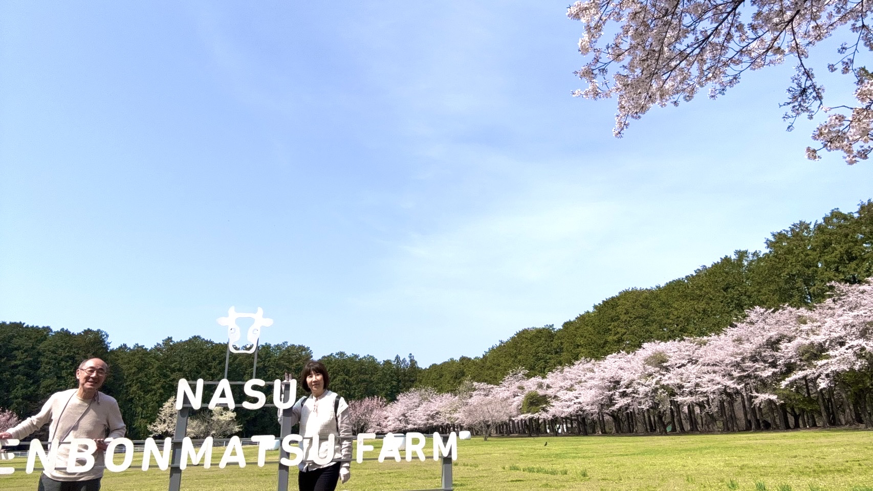 画像の説明