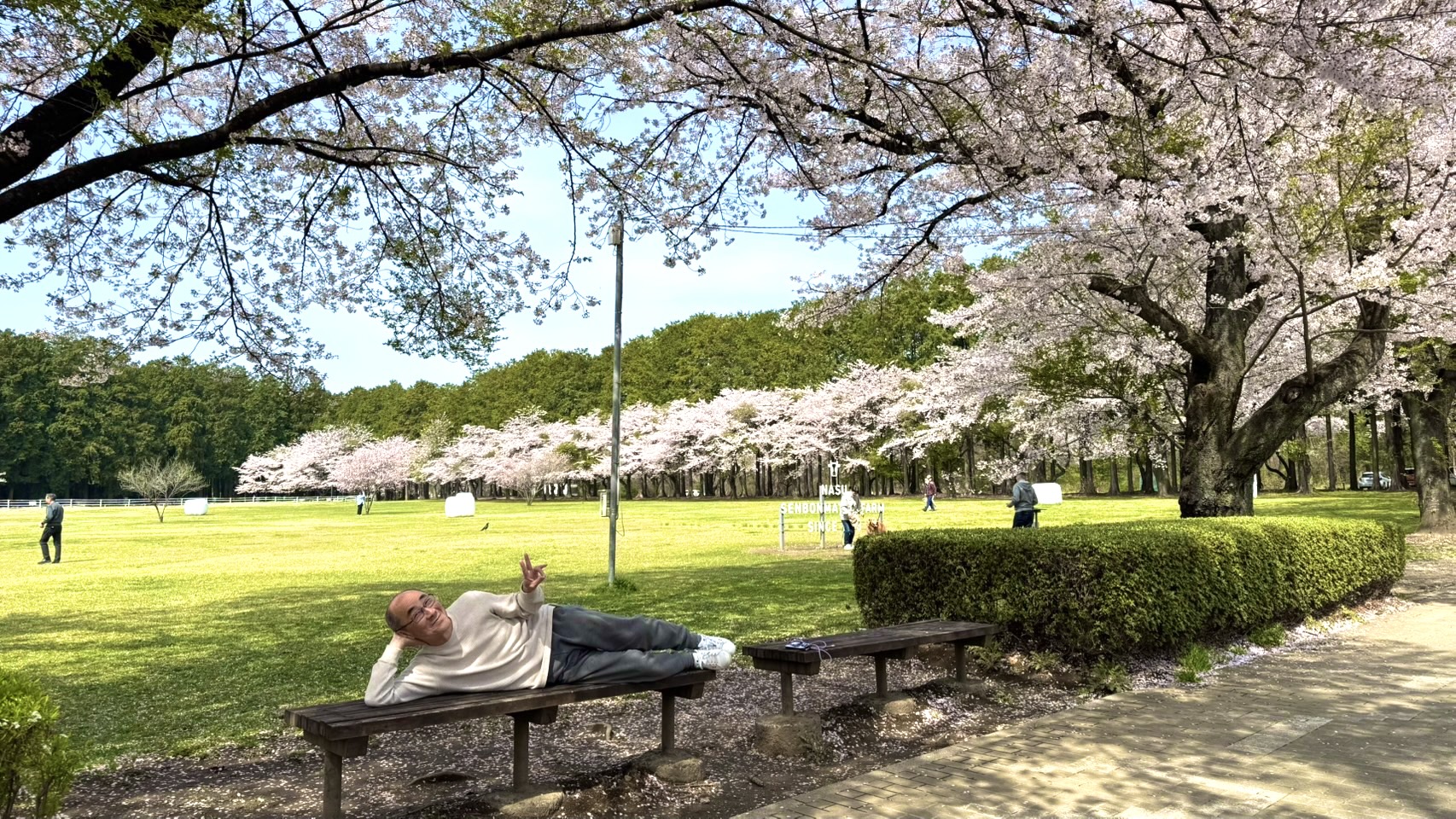 画像の説明