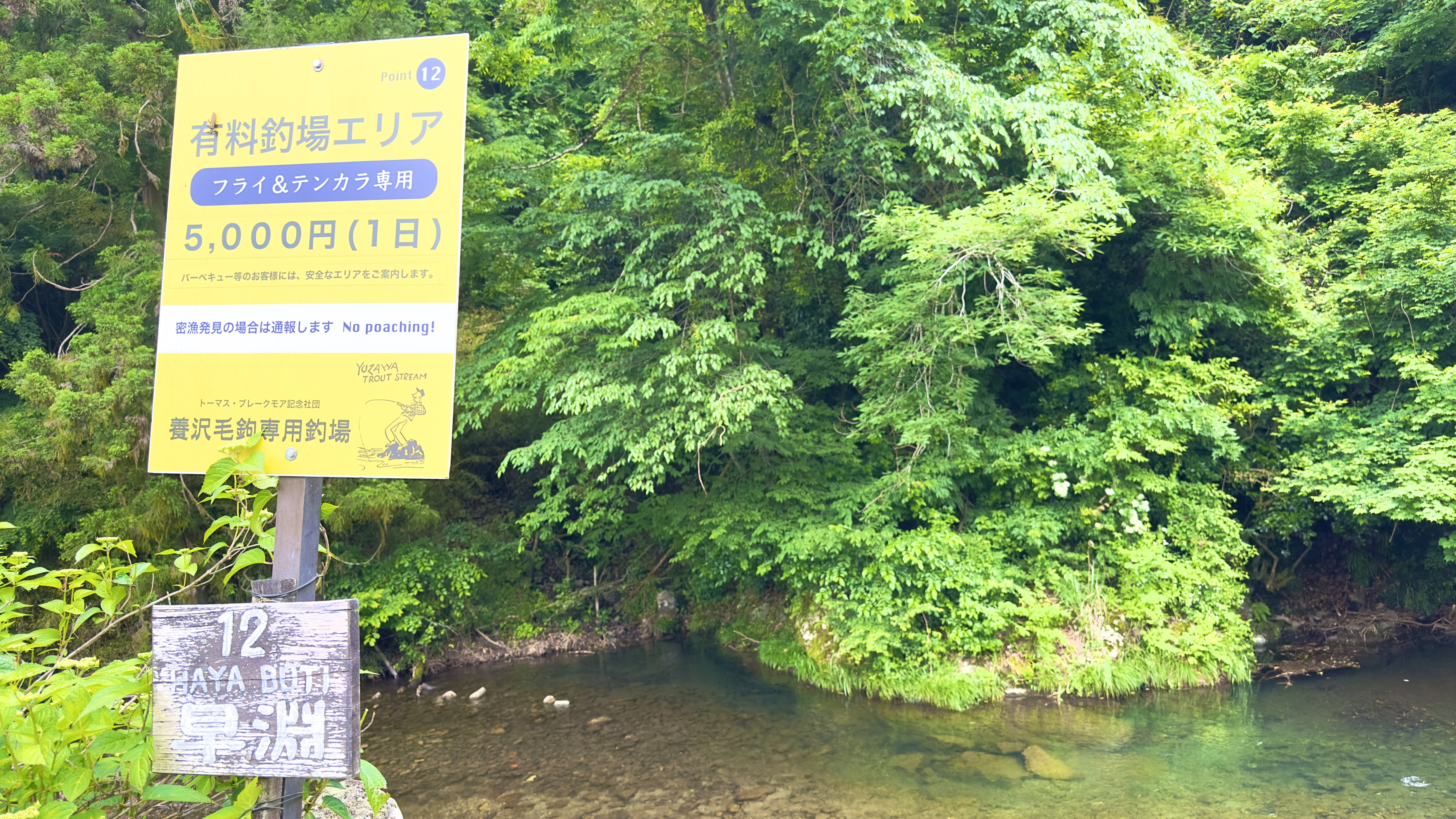 養沢毛鉤専用釣り場 12番早淵 養沢毛鉤専用釣り場 12番早淵