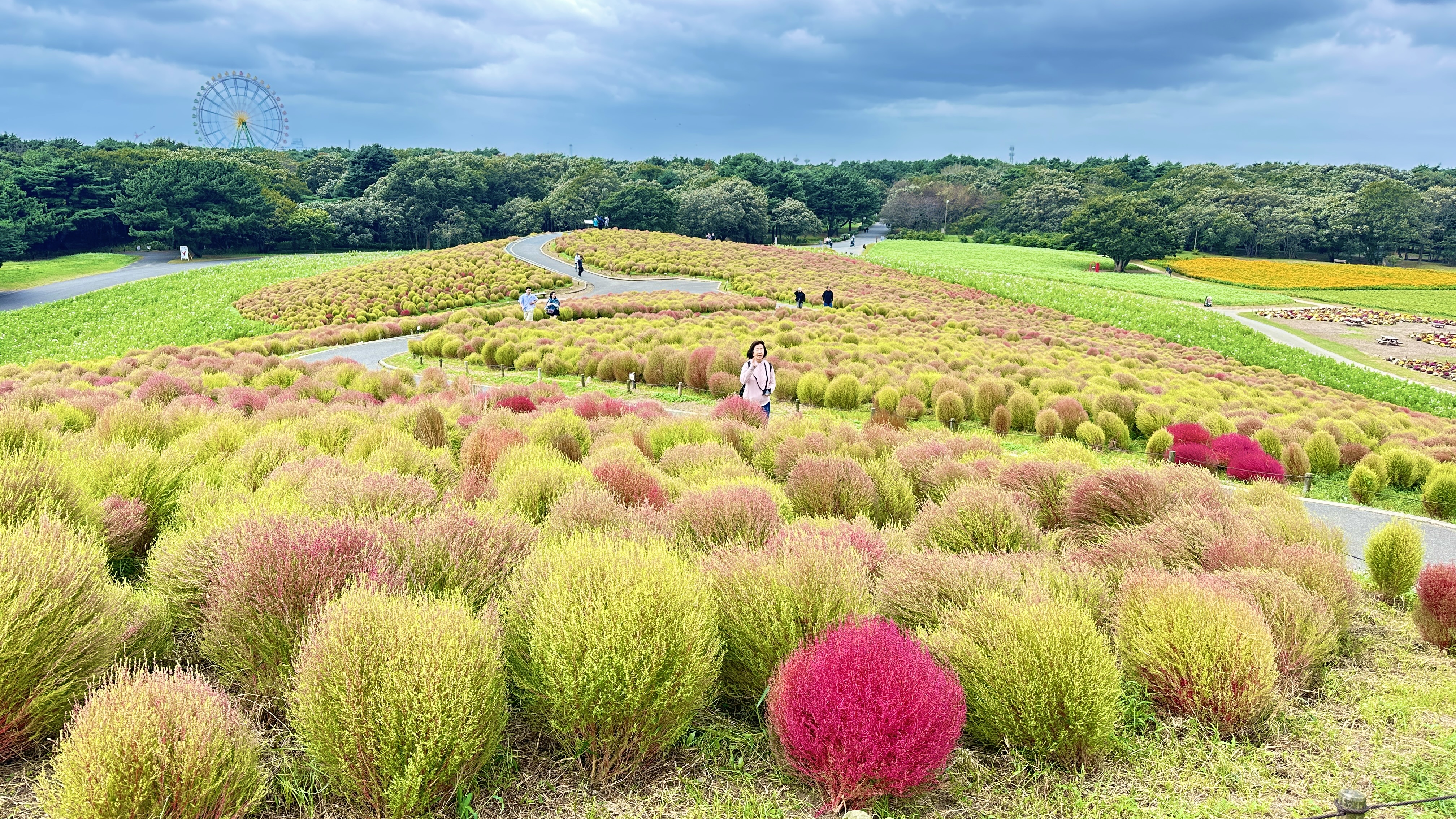 画像の説明 画像の説明