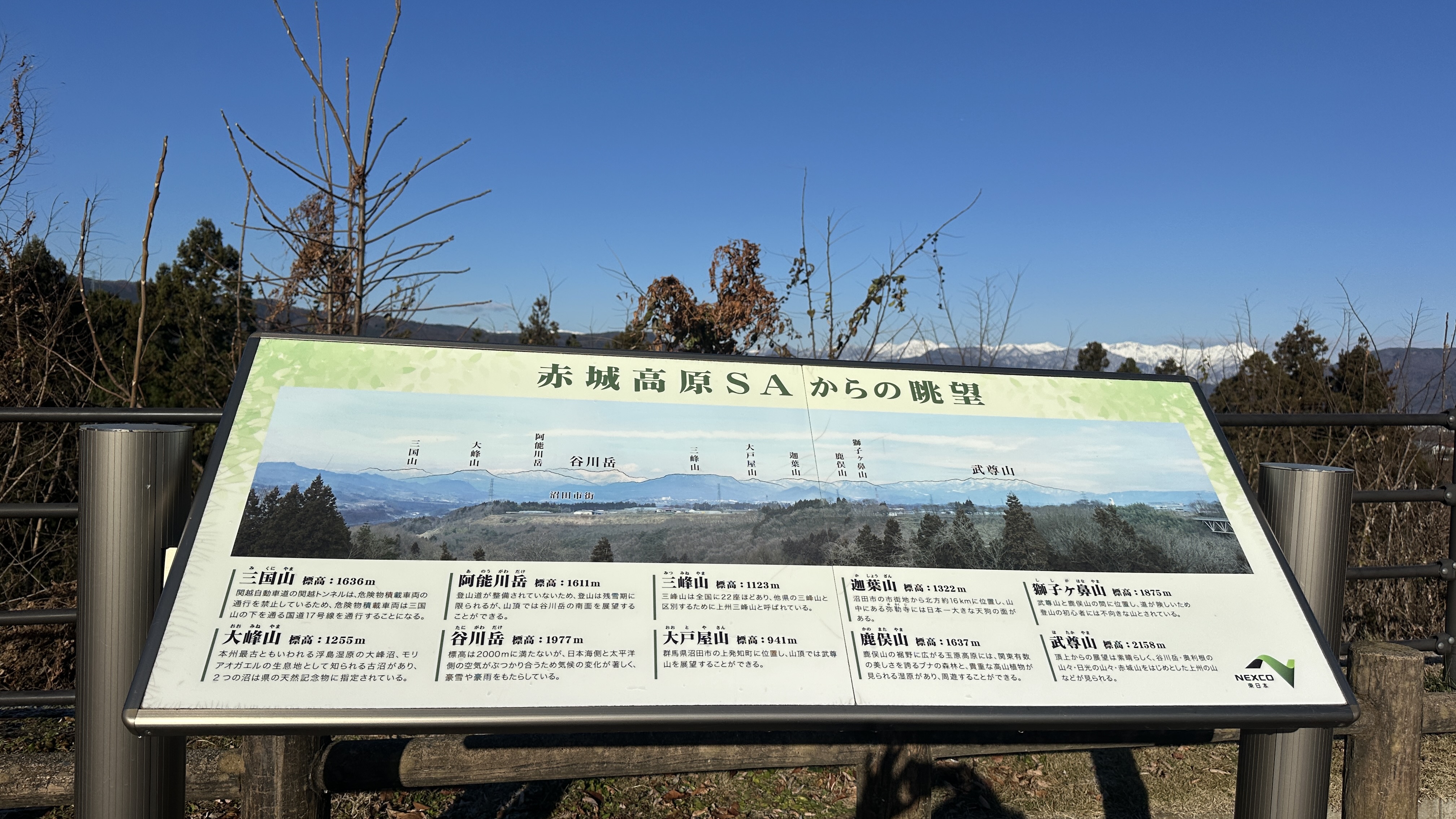 画像の説明 画像の説明