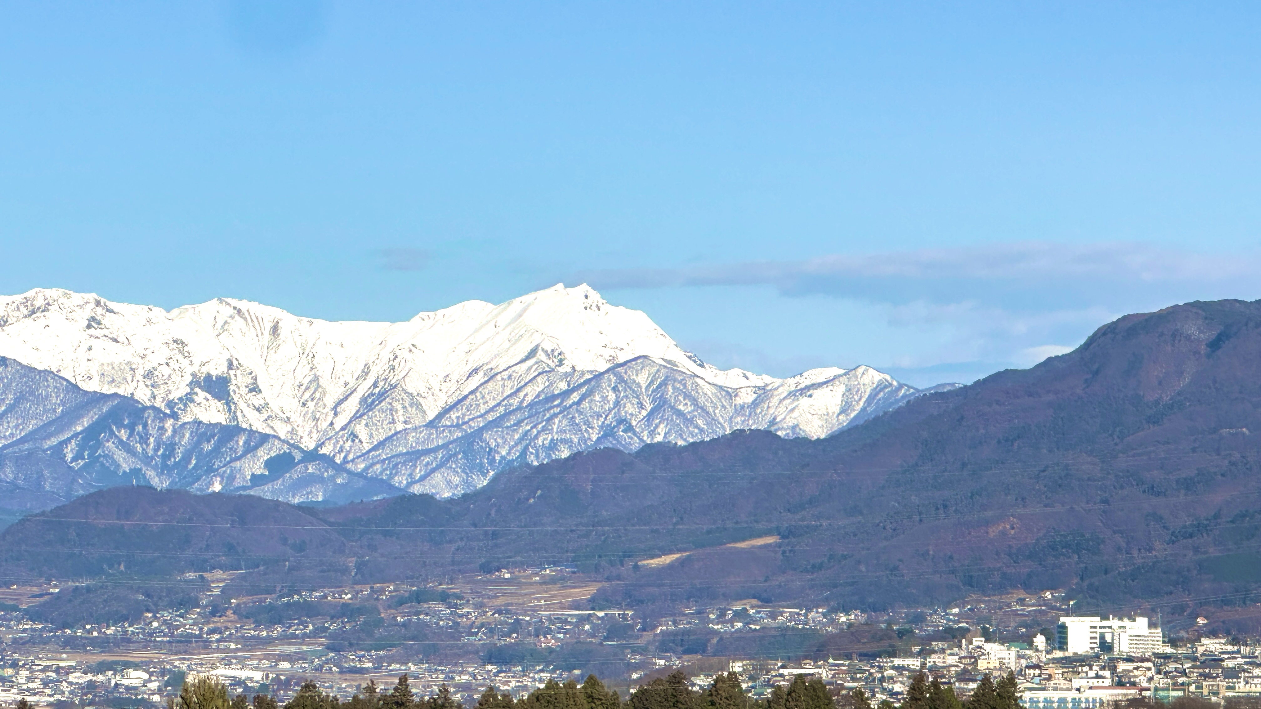 画像の説明 画像の説明