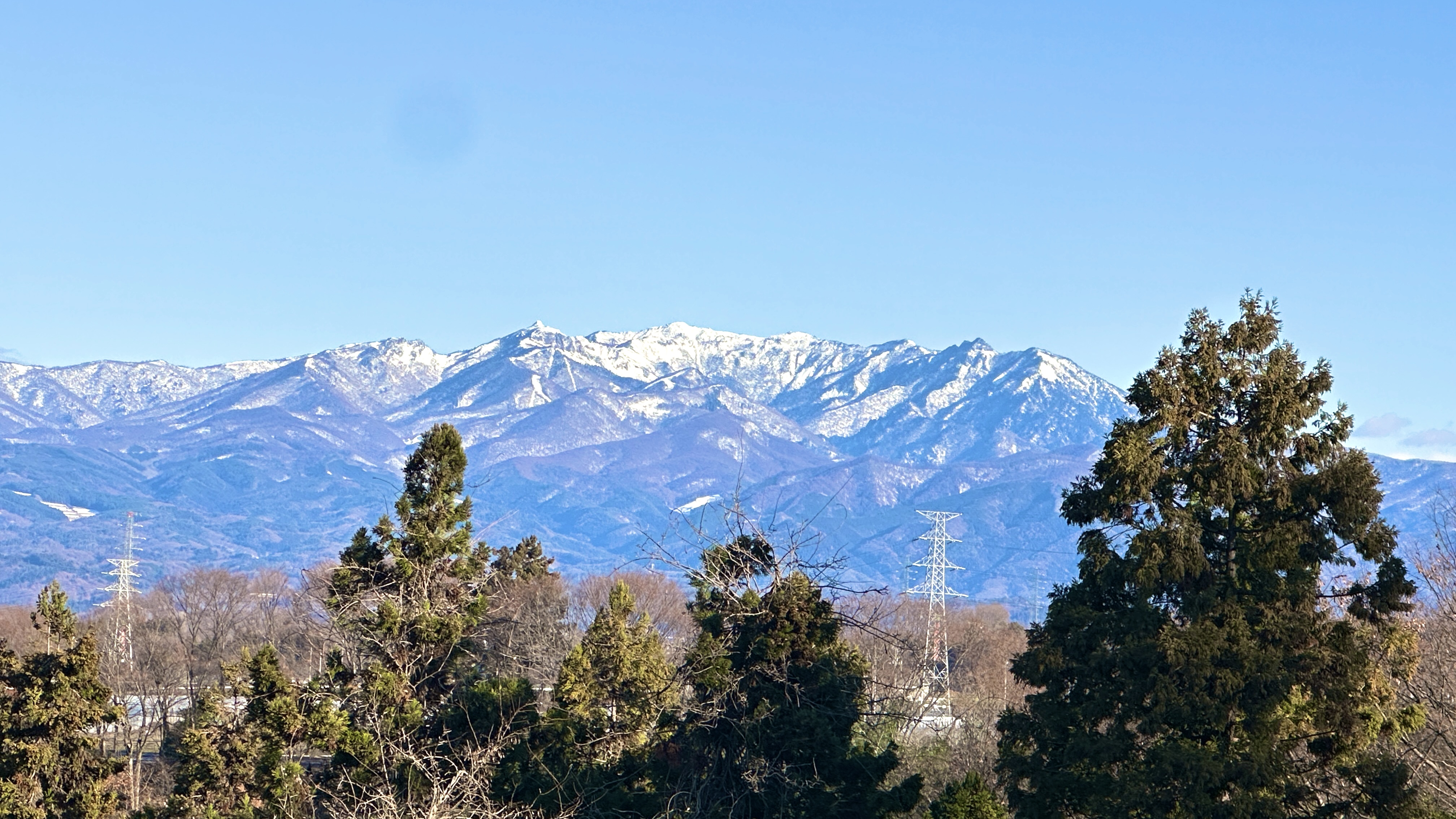 画像の説明 画像の説明