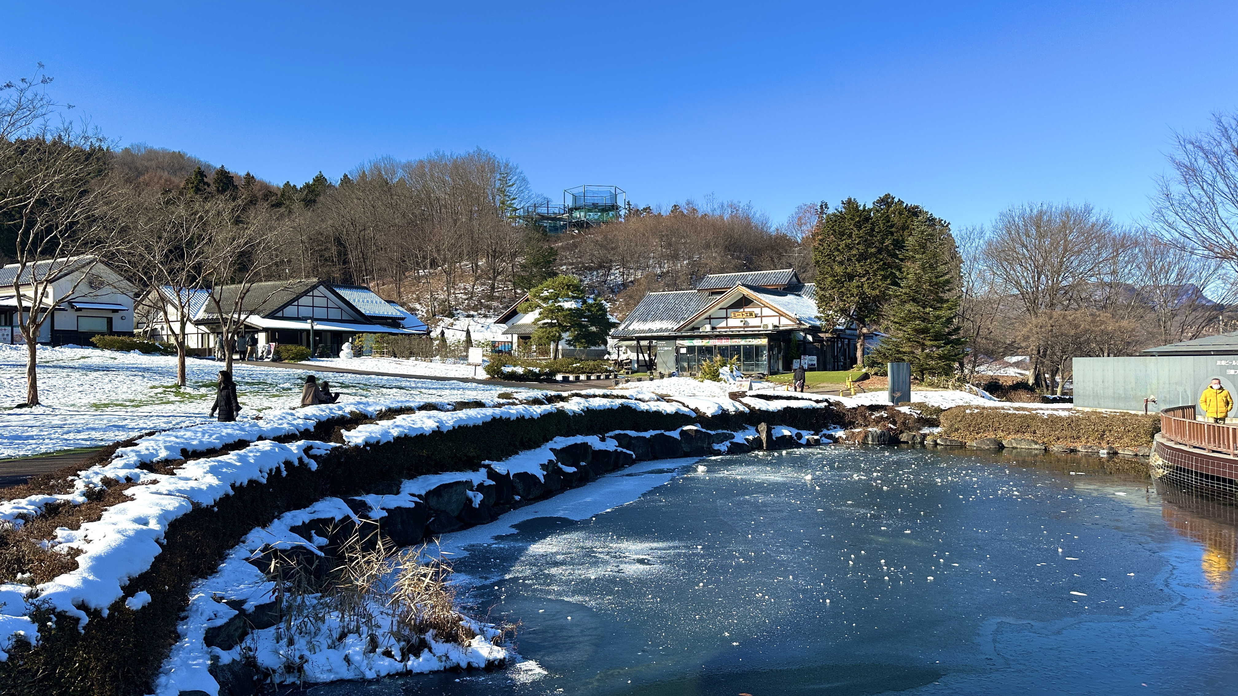 画像の説明 画像の説明