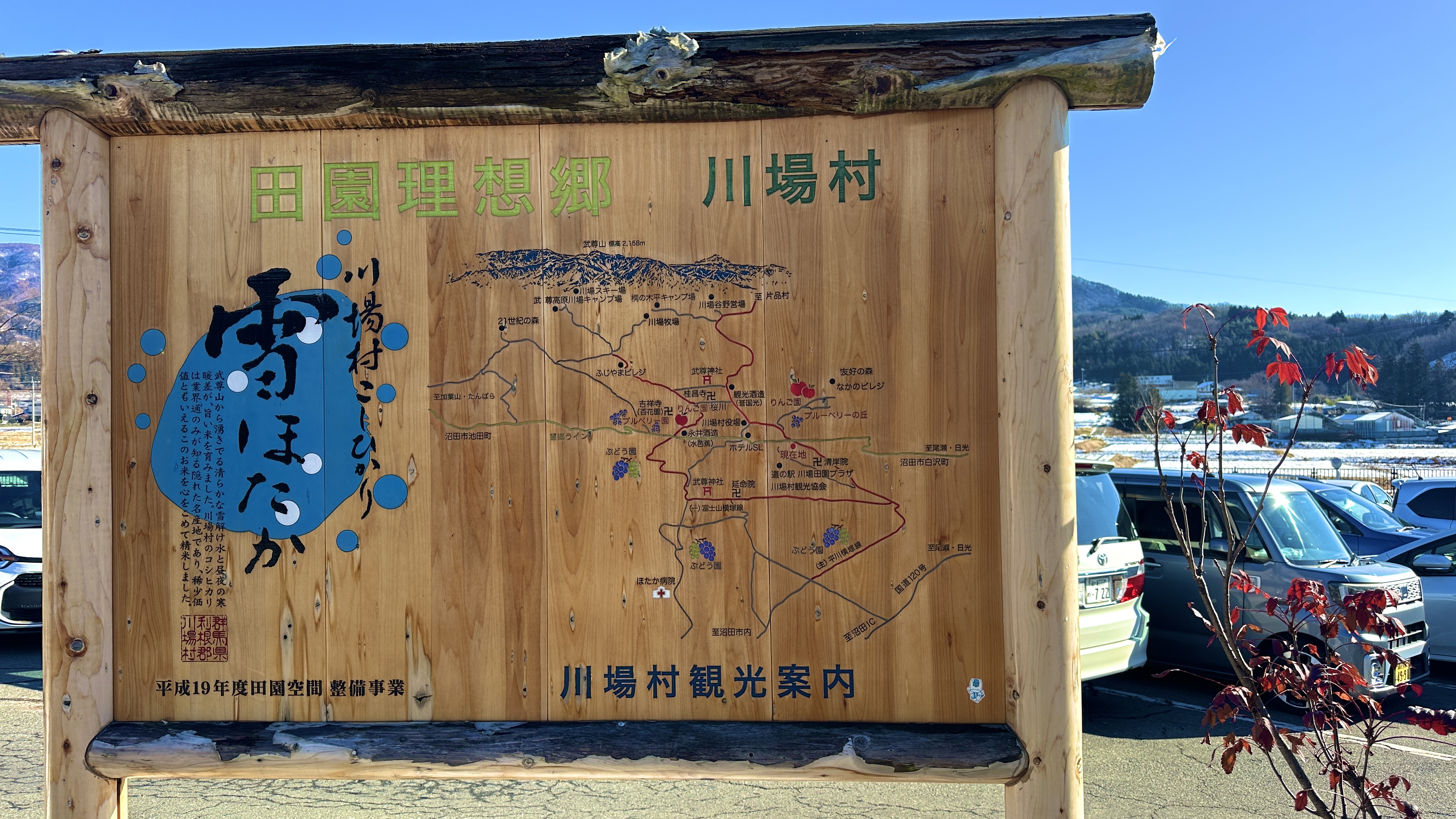 画像の説明 画像の説明