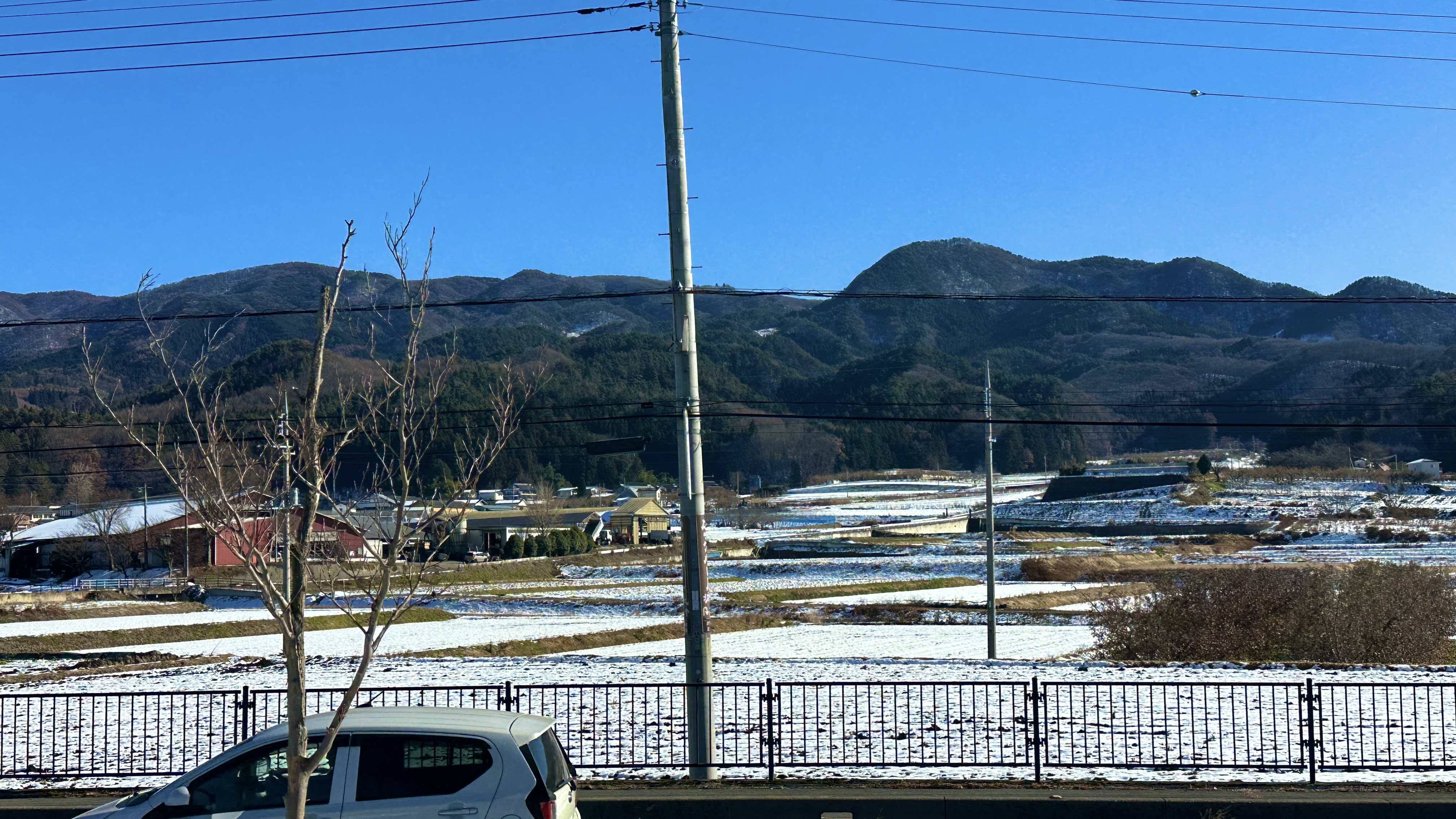 画像の説明 画像の説明