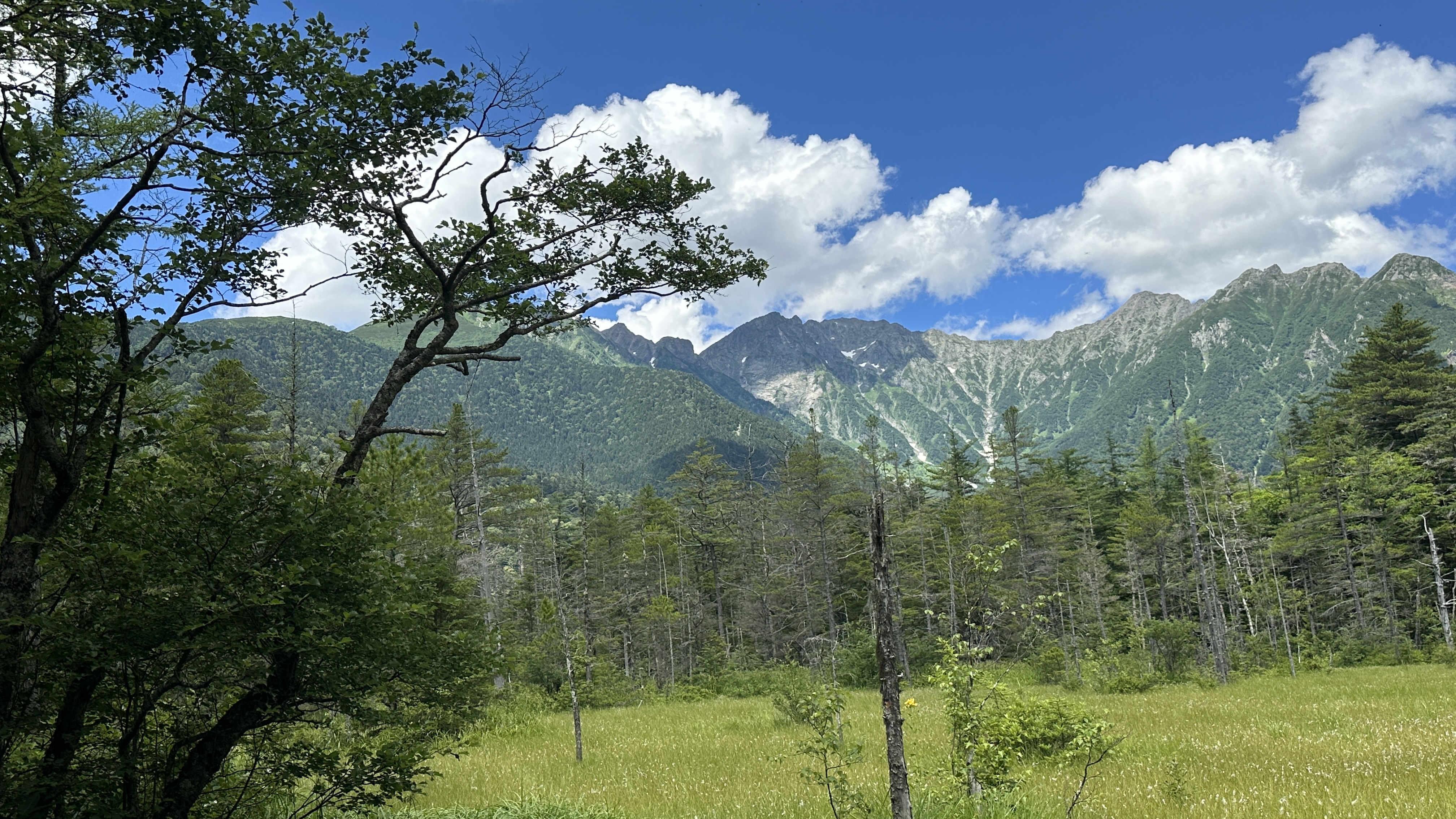 上高地 田代湿原