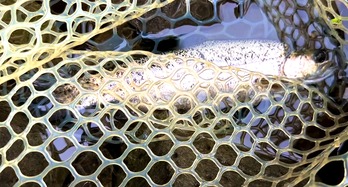 養沢毛鉤専用釣り場