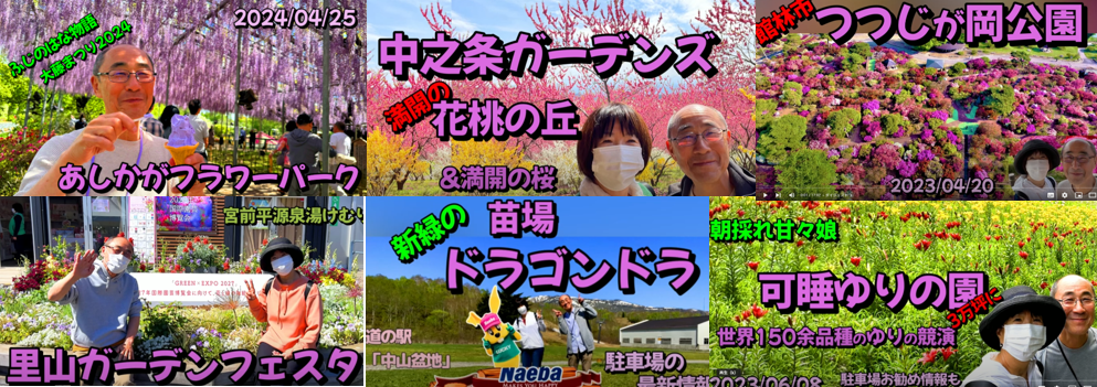 スクリーンショット 2025-04-15 135325