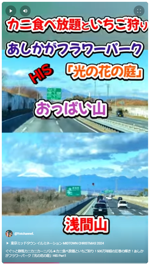 ぐぐっと群馬カニカニカーニバル★カニ食べ放題といちご狩り！500万球超の圧巻の輝き！あしかがフラワーパーク「光の花の庭」HIS Part1