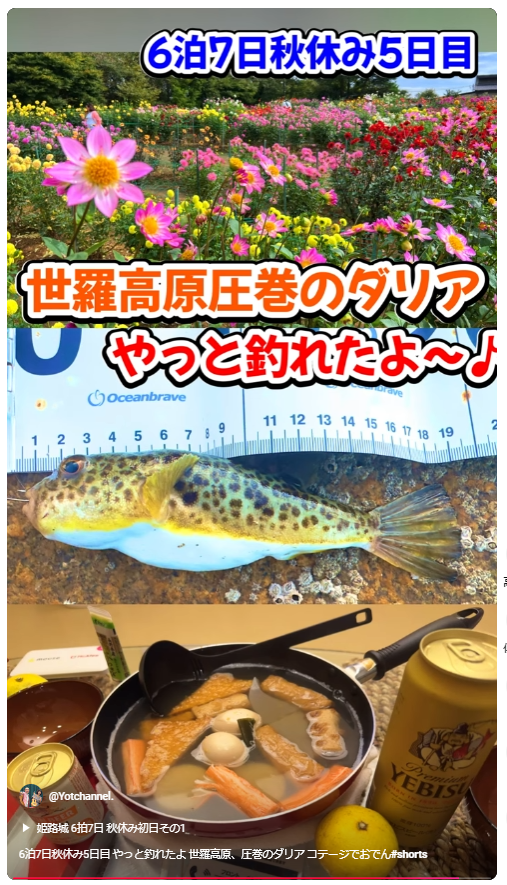 6泊7日秋休み5日目 やっと釣れたよ&br;世羅高原、圧巻のダリア コテージでおでん