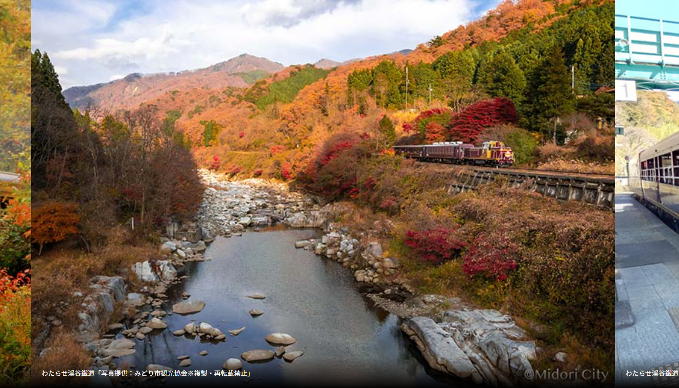 はとバス日帰りツアー 秋色のわたらせ渓谷鐵道×足尾銅山ダブルトロッコ観光