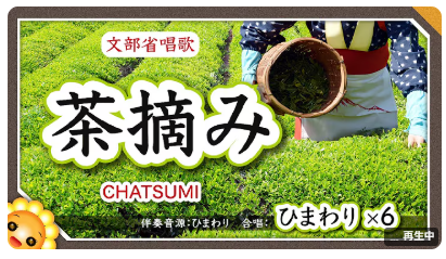 茶摘み