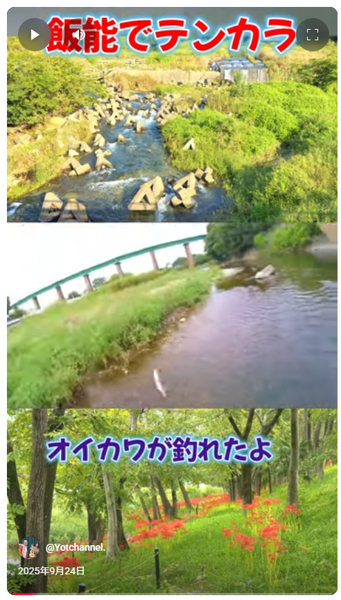 飯能でテンカラ