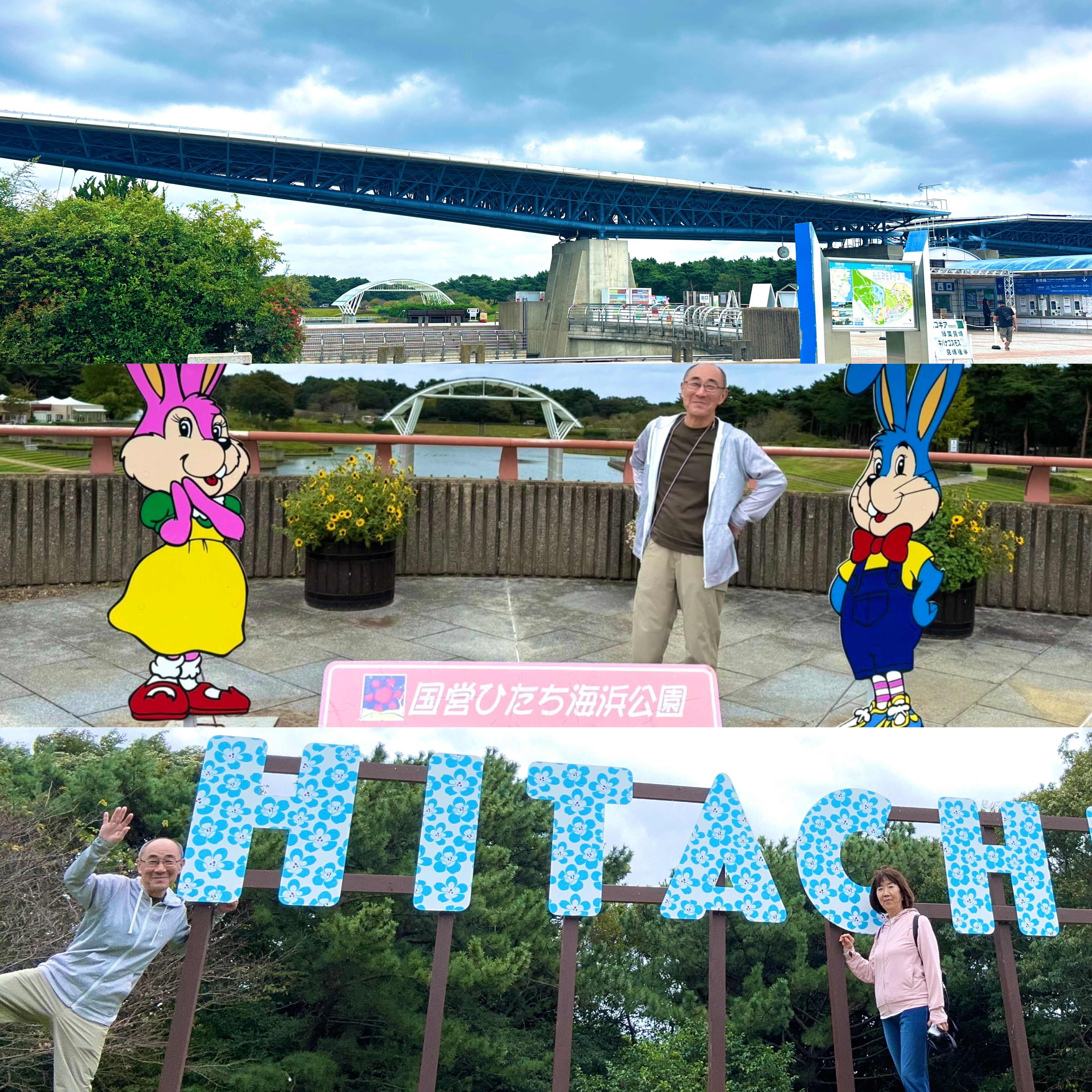 画像の説明 画像の説明