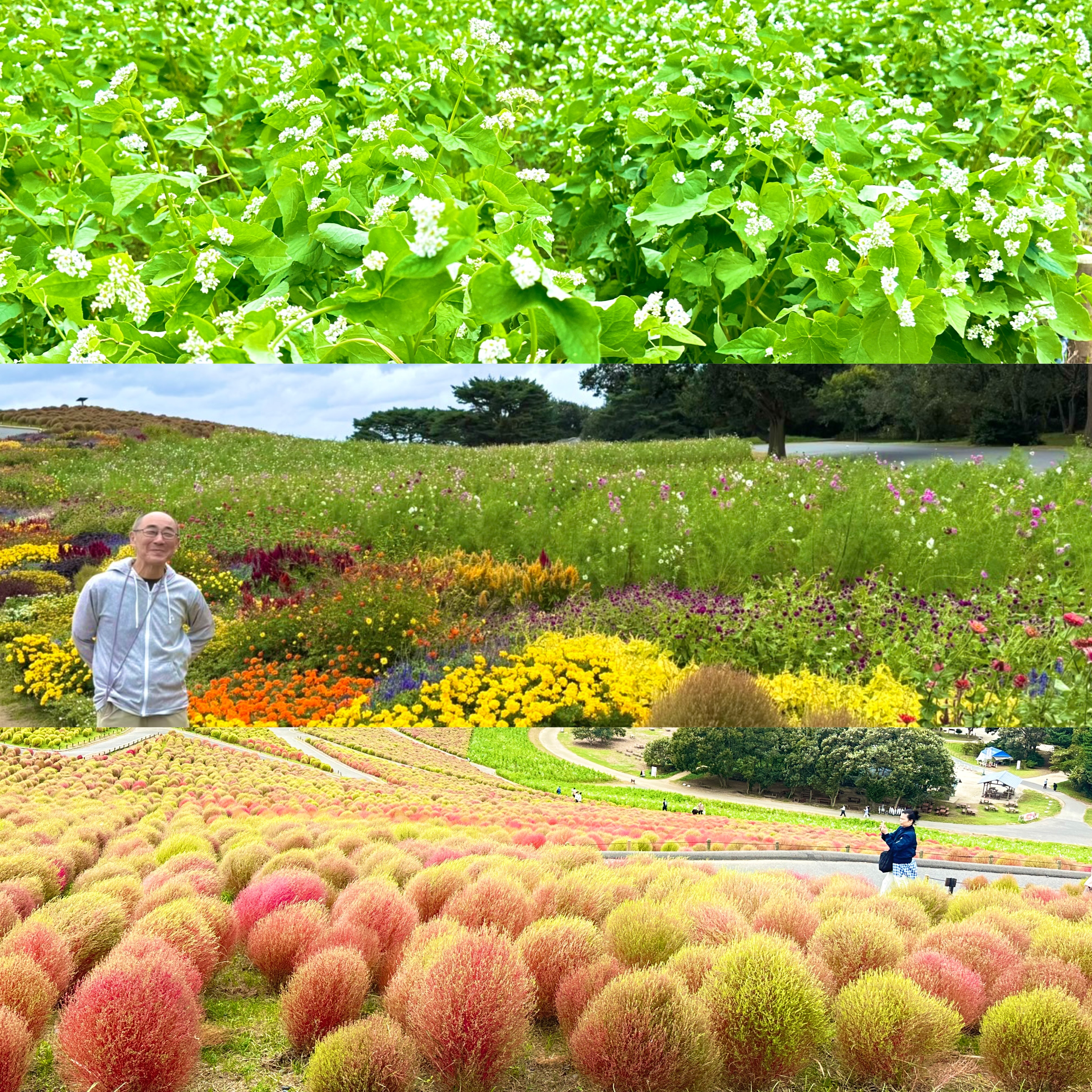 画像の説明 画像の説明