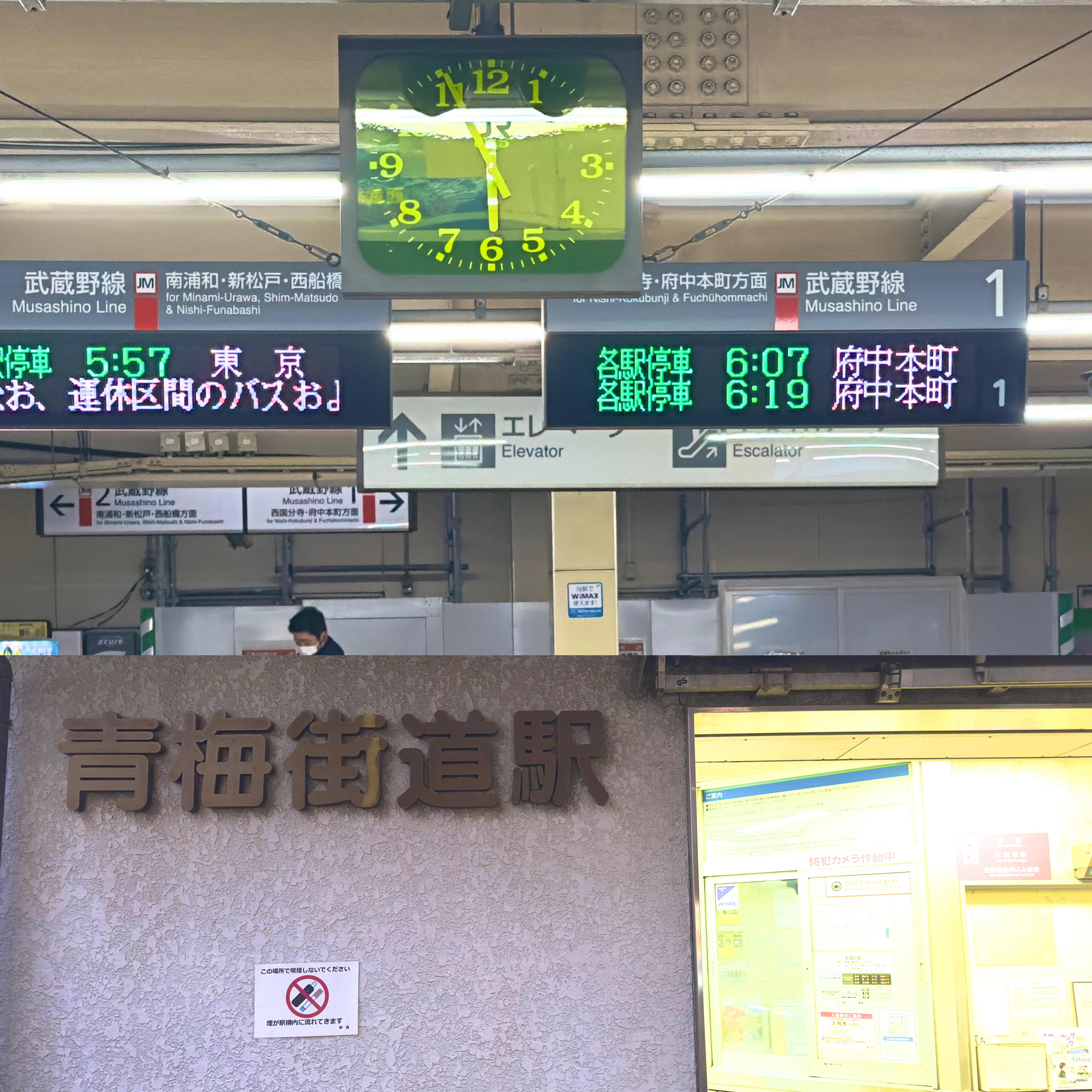 画像の説明