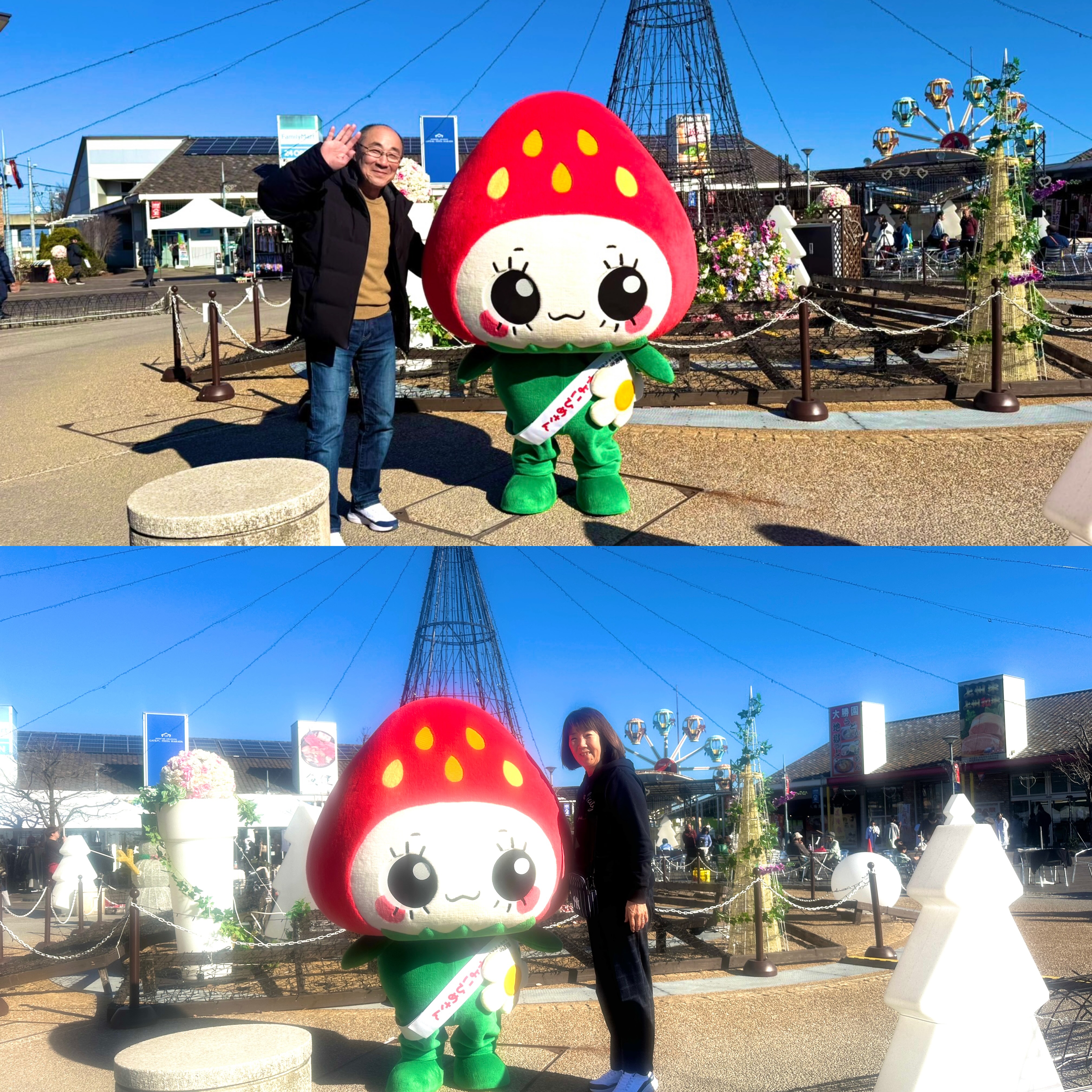 画像の説明 画像の説明