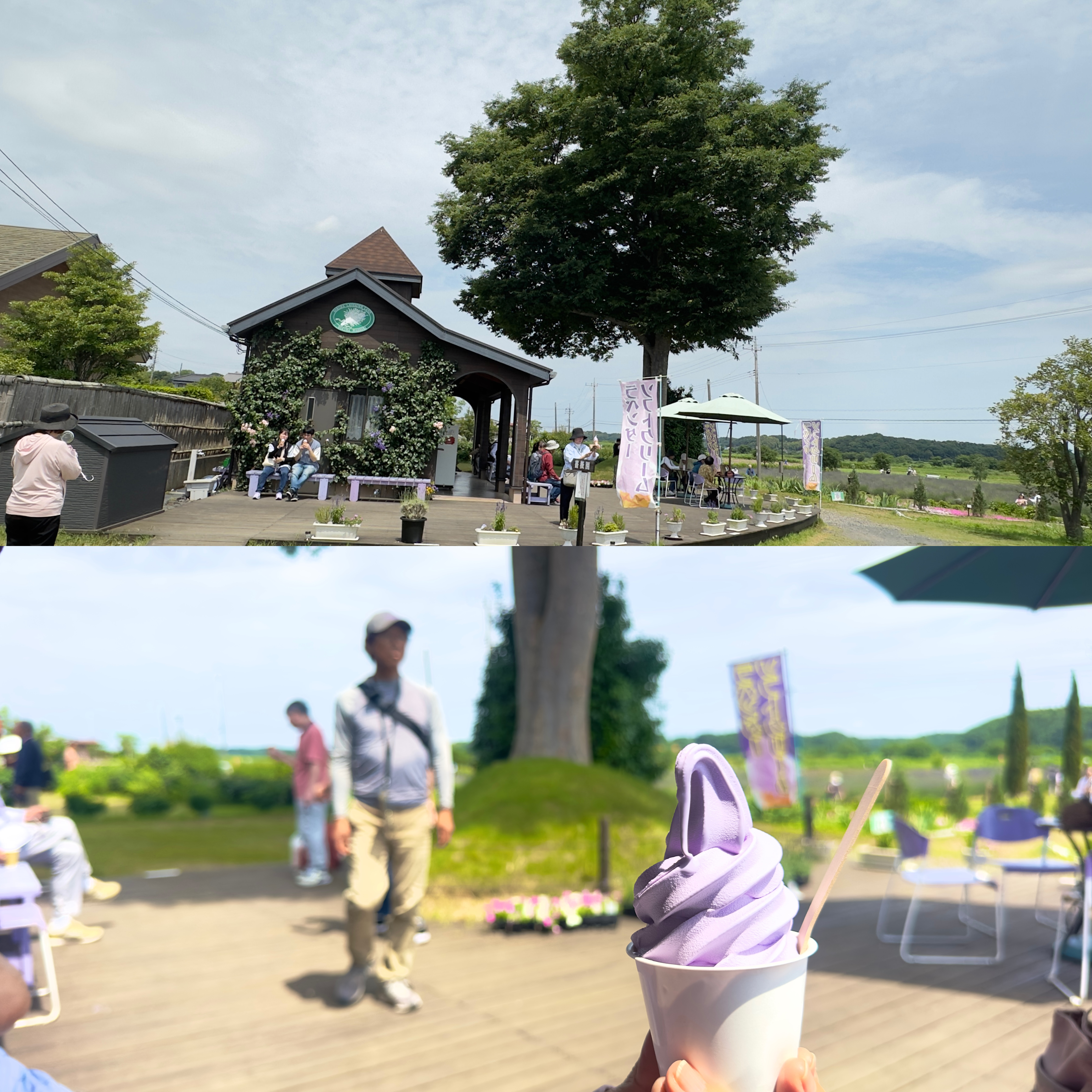 画像の説明