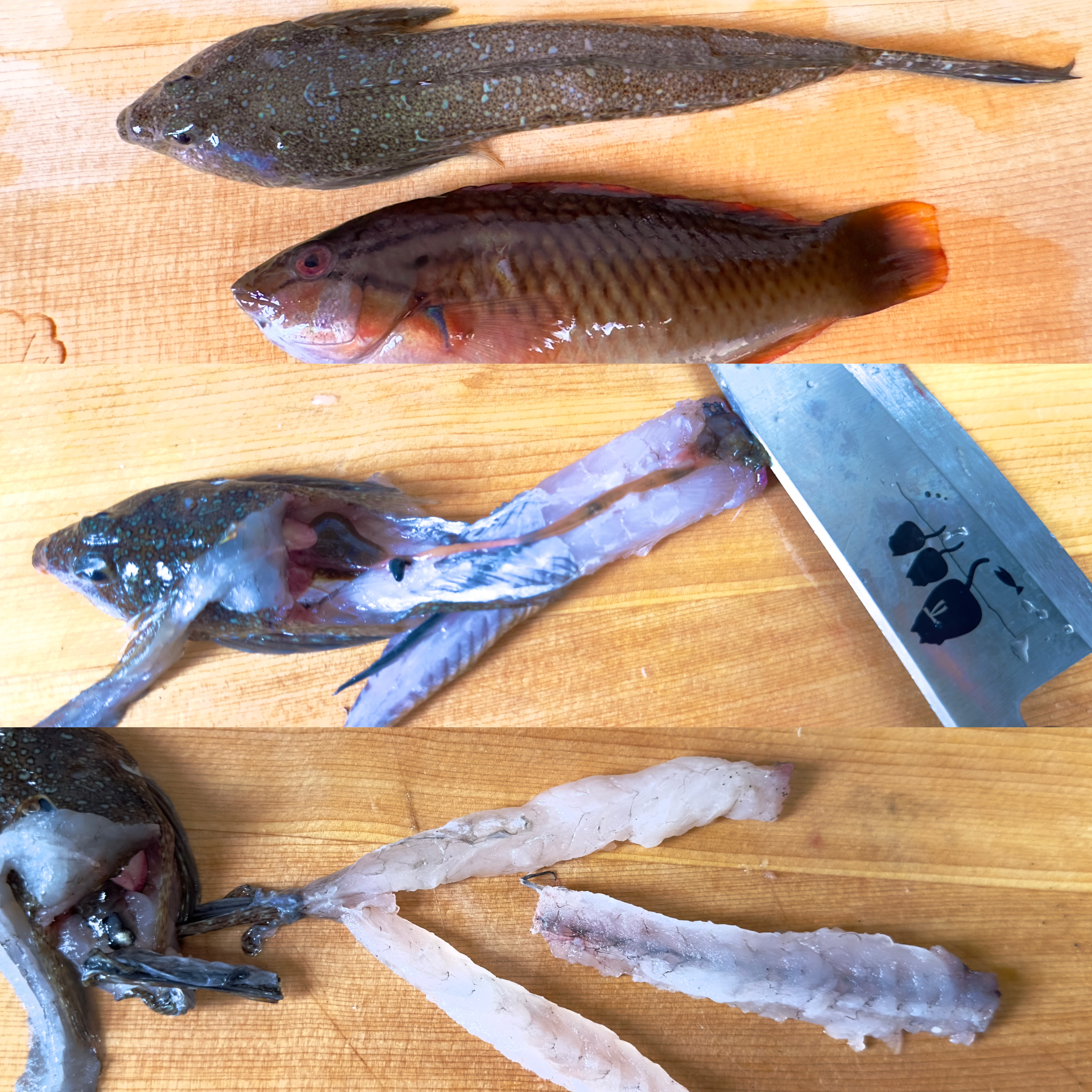 メゴチの天ぷら美味しかったよ　釣りの浜浦
