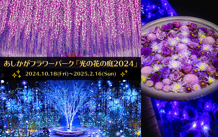 ぐぐっと群馬カニカニカーニバル★カニ食べ放題といちご狩り！500万球超の圧巻の輝き！あしかがフラワーパーク「光の花の庭」